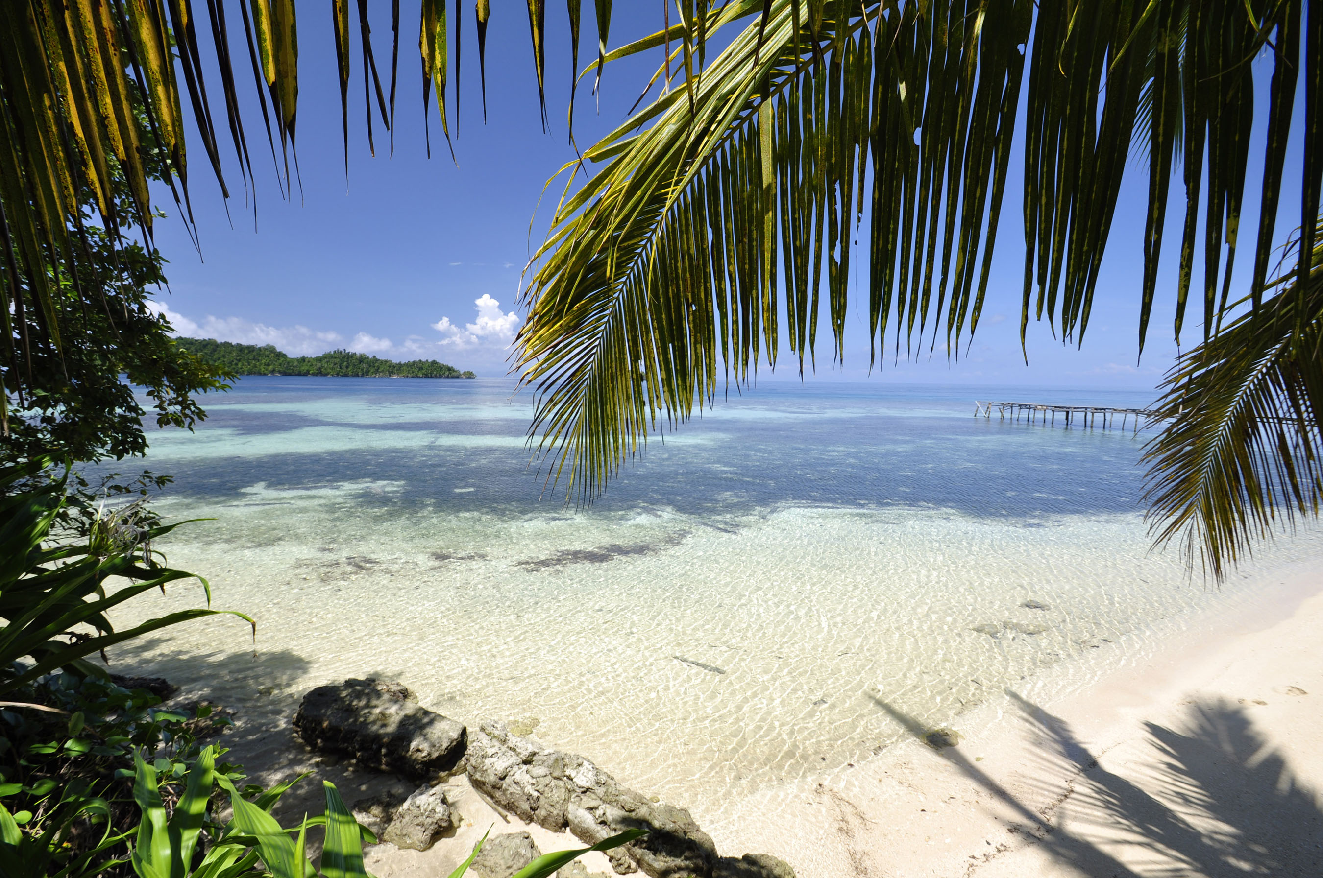 Palmenstrand Sulawesie